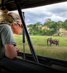 Aventuras y Safaris